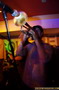 Soul Tree. The Black Seeds concert. 