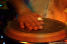 Soul Tree. The Black Seeds concert. 