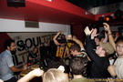 Soul Tree. The Black Seeds concert. 
