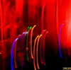 Zane Lowe Home Taping Tour, Simian Mobile Disco, Fez Club