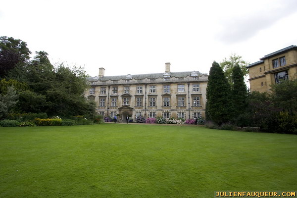 007_IMG_2554.JPG
