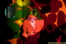 IMG_9042_1.JPG