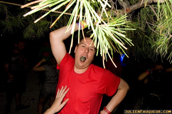 croatia. electric elephant festival. petrcane. 
