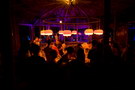 croatia. electric elephant festival. petrcane. 