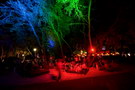 croatia. electric elephant festival. petrcane. 