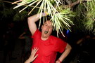 croatia. electric elephant festival. petrcane. 