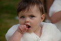 IMG_4362.JPG
